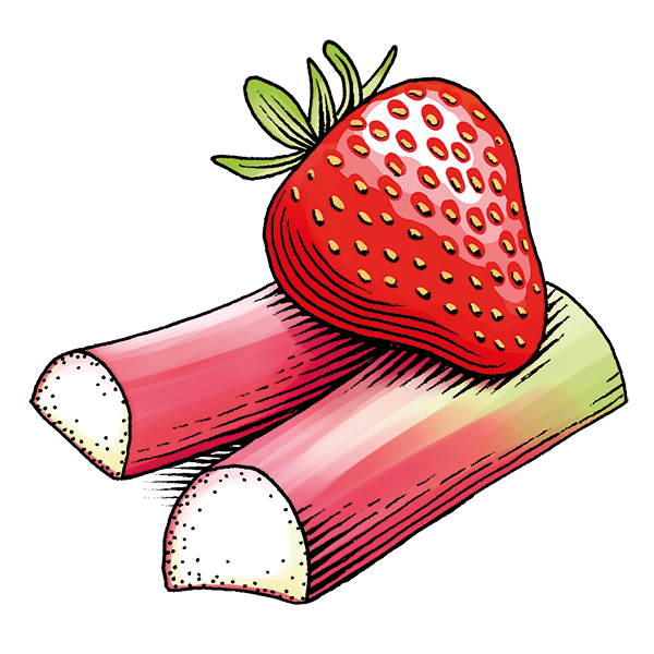 Erdbeer-Rhabarber-Konfitüre