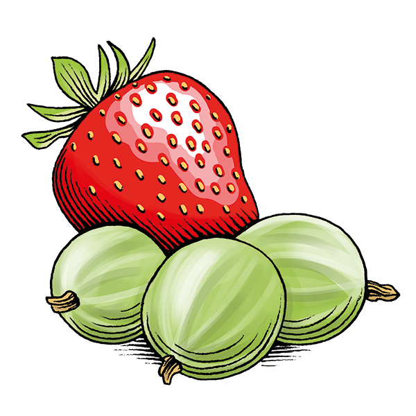 Stachelbeer-Erdbeer-Konfitüre