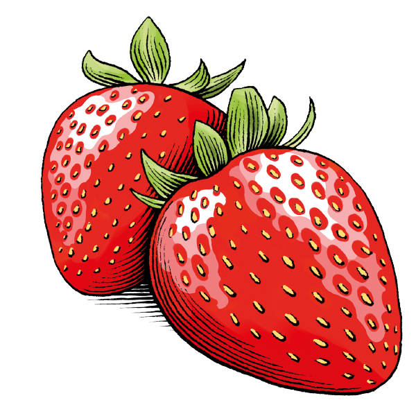 Erdbeer-Konfitüre